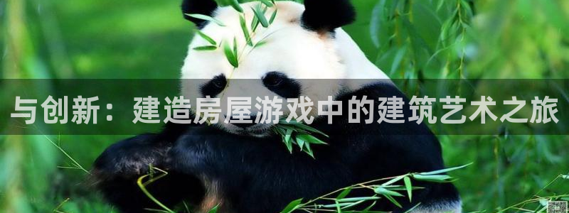 安信12彩票app下载：与创新：建造房屋游戏中的建筑艺术之旅