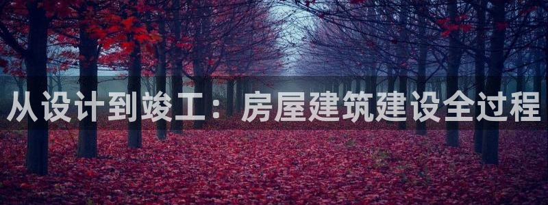 安信可12e12f：从设计到竣工：房屋建筑建设全过程