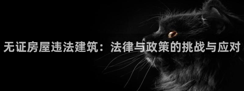 安信12怎么注册：无证房屋违法建筑：法律与政策的挑战与应对