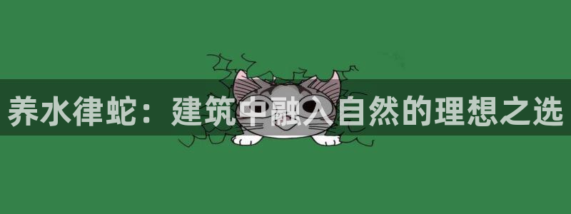 安信12真假：养水律蛇：建筑中融入自然的理想之选