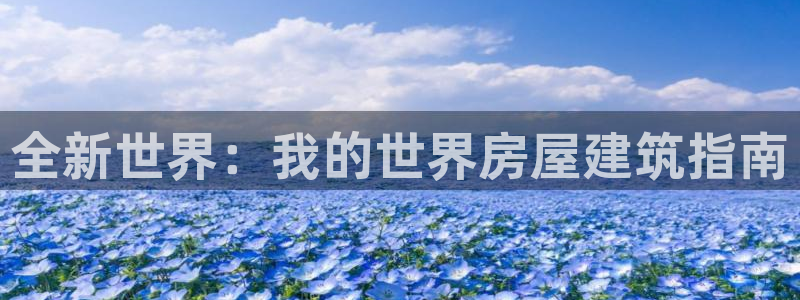 安信12平台的网址：全新世界：我的世界房屋建筑指南