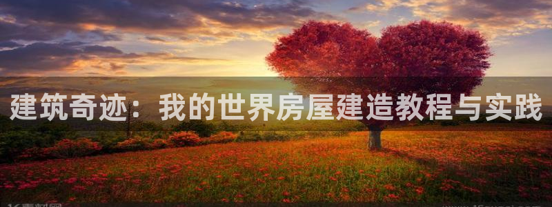 esp-12s安信：建筑奇迹：我的世界房屋建造教程与实践