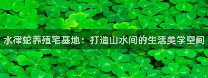 安信12官网：水律蛇养殖宅基地：打造山水间的生活美学空间