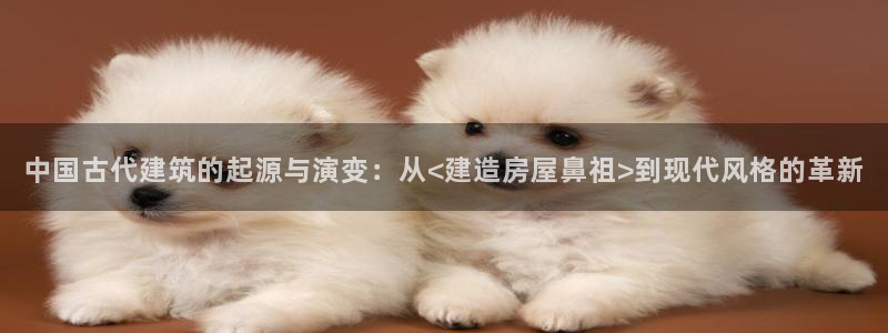 信安12乐打棒：中国古代建筑的起源与演变：从<建造房屋鼻祖>到现代风格的革新