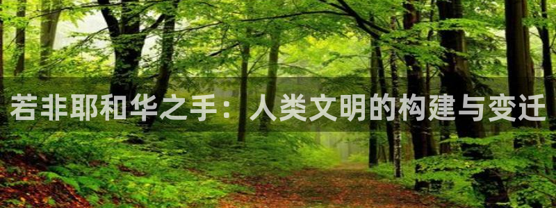 安信可esp-12：若非耶和华之手：人类文明的构建与变迁