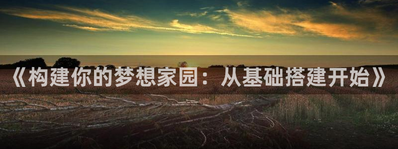 安信12注册登录下戴：《构建你的梦想家园：从基础搭建开始》