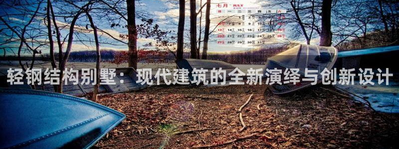 安信12周年庆典：轻钢结构别墅：现代建筑的全新演绎与创新设计