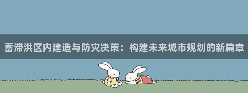 安信可12f代码：蓄滞洪区内建造与防灾决策：构建未来城市规划的新篇章