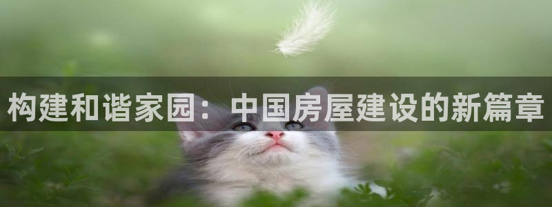 安信esp 12k：构建和谐家园：中国房屋建设的新篇章