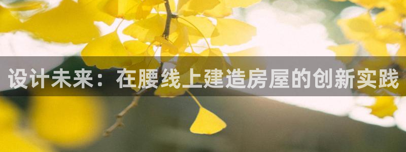 安信12登录：设计未来：在腰线上建造房屋的创新实践