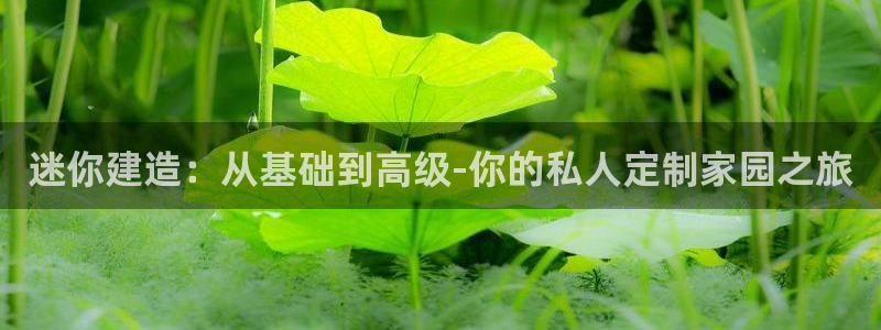 安信娱乐12登录地址：迷你建造：从基础到高级-你的私人定制家园之旅